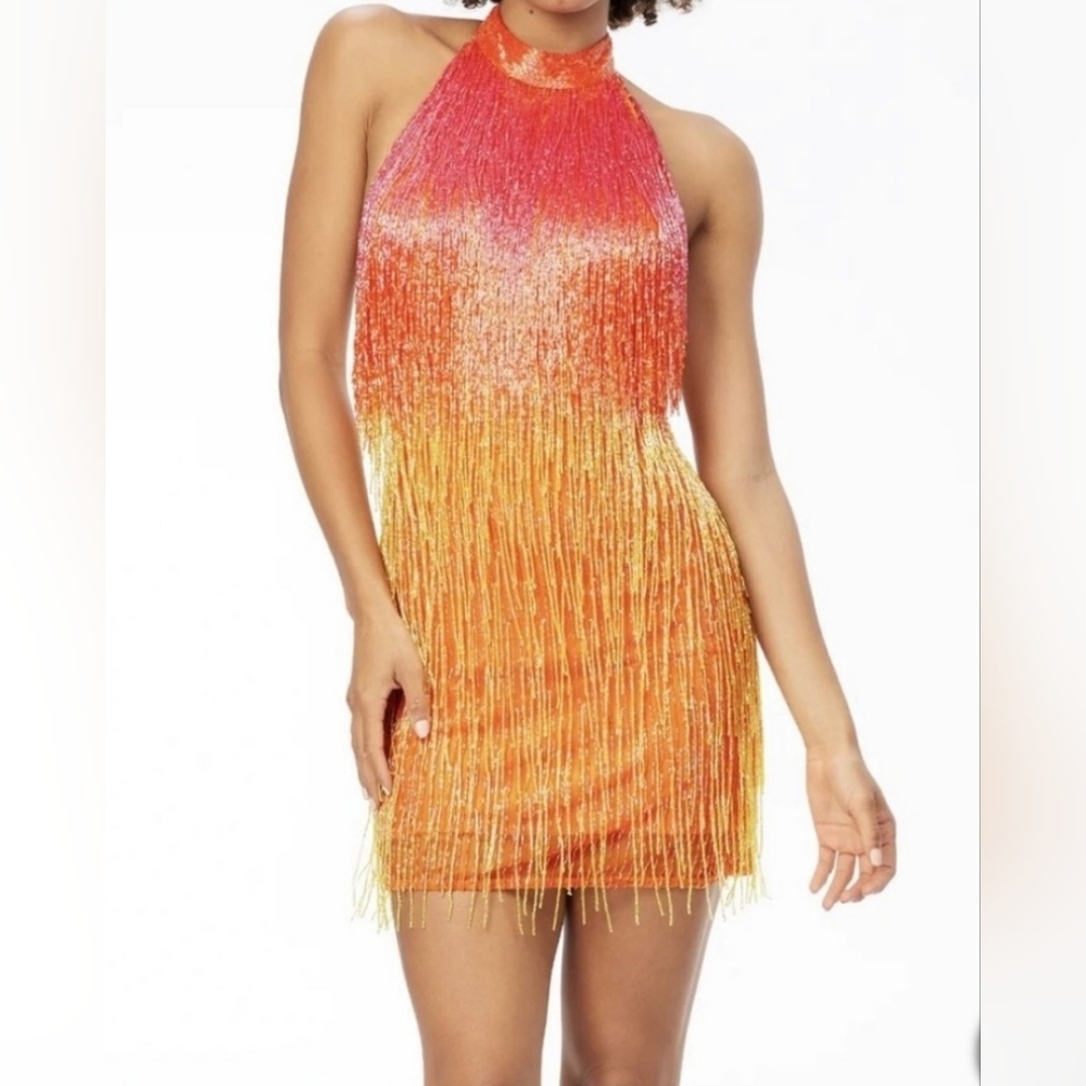 Ashley lauren Ombre fringe